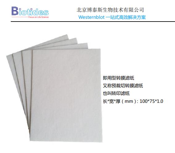 博泰斯biotides 即用型转膜滤纸 即转印滤纸-北京博泰斯生物技术有限公司官网——WB一站式高效解决方案